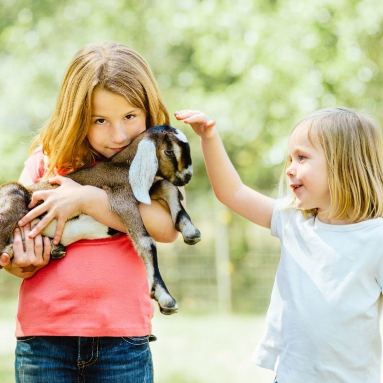 Children with baby goat