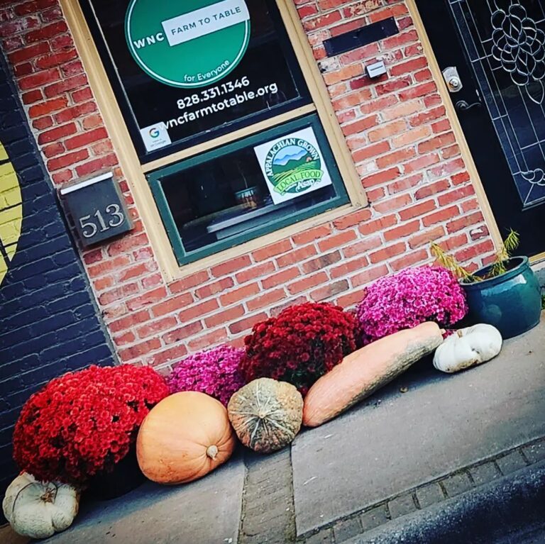 storefront decorated for fall
